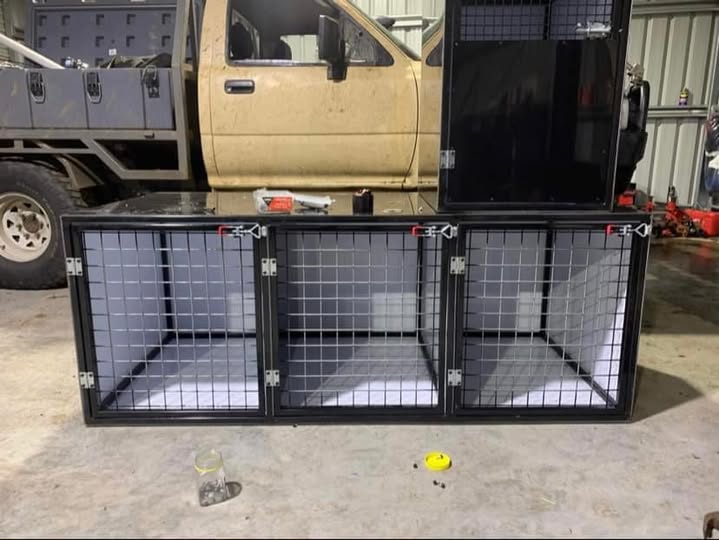 Dog Boxes
