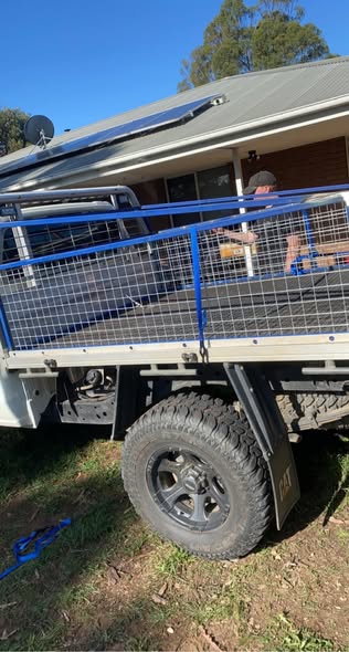 Dog Boxes