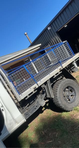 Dog Boxes